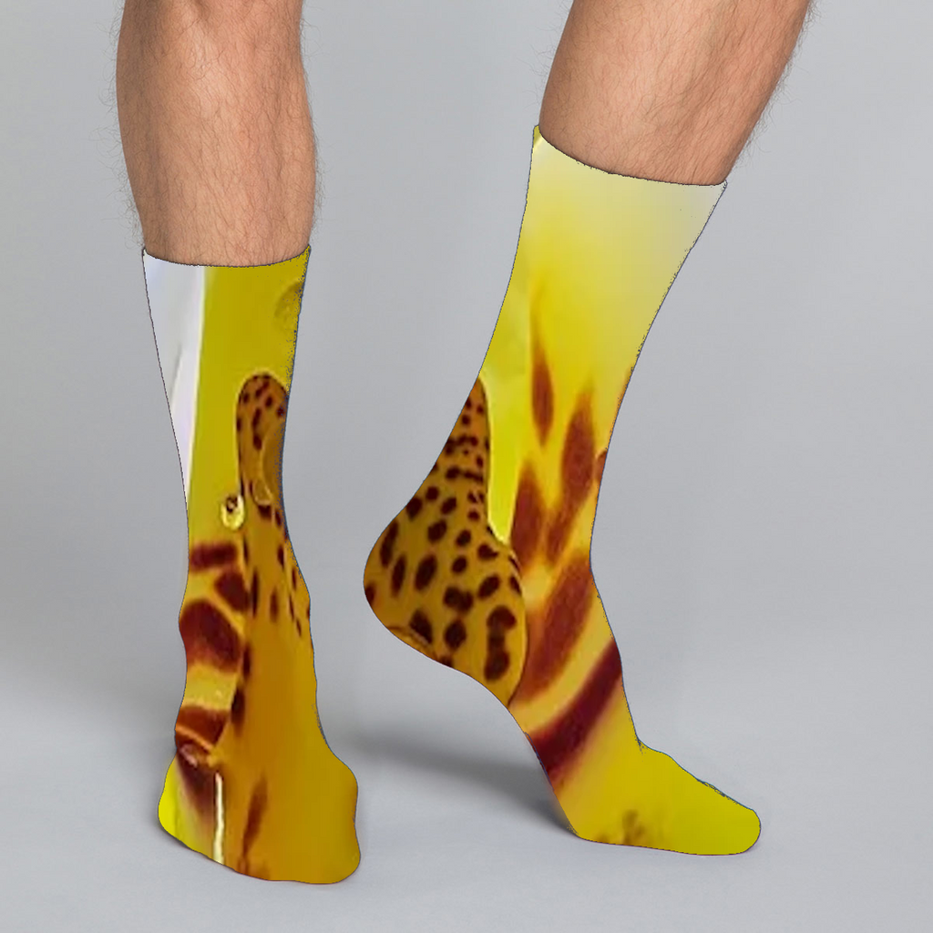 Women's and men's colorful allover sublimation socks made especially f –  COLORFUL ALLOVER SUBLIMATION SOCKS DESIGNED ESPECIALLY FOR YOU IN NATURE'S  MOST EXOTIC COLOR COMBINATIONS - ON DEMAND